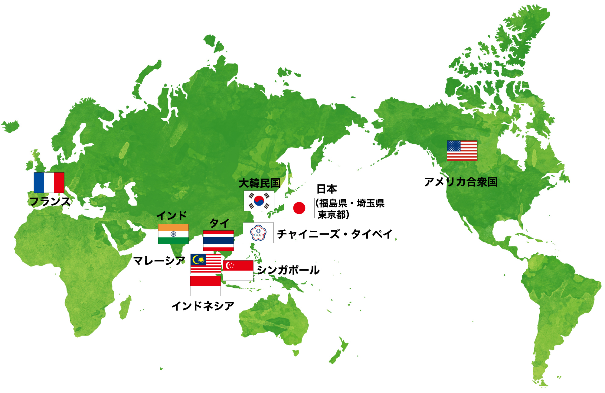チーム紹介